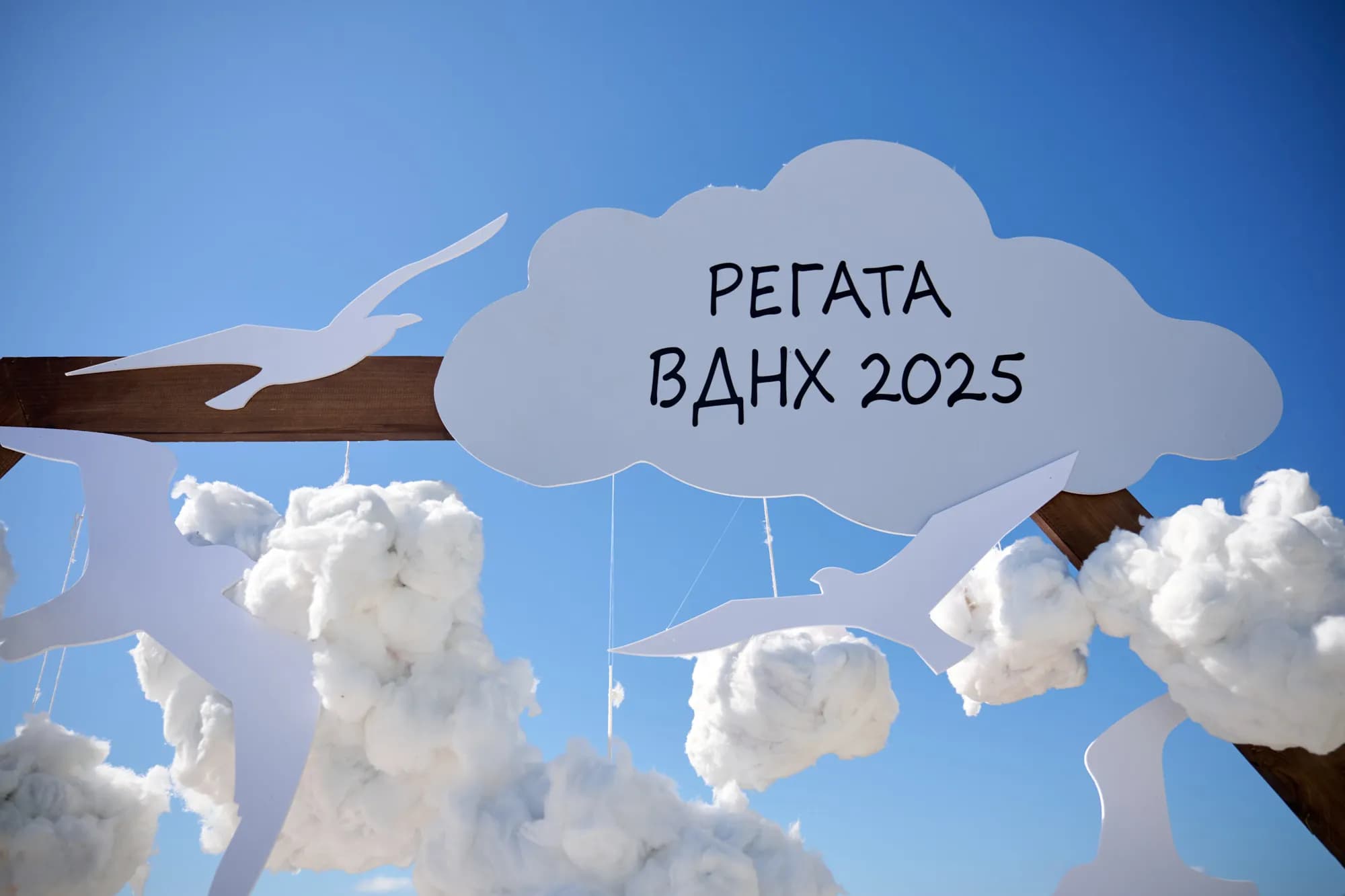 Корпоративная регата дирекции ВДНХ