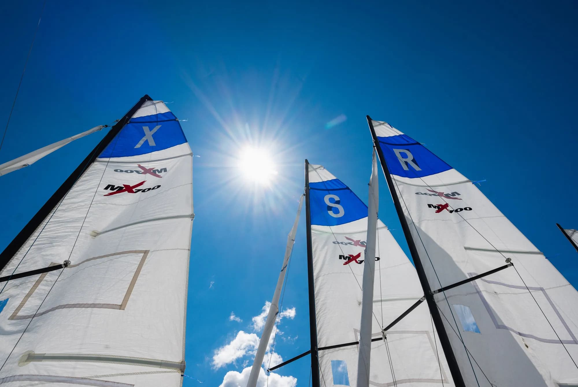 Корпоративная регата Ward Howell